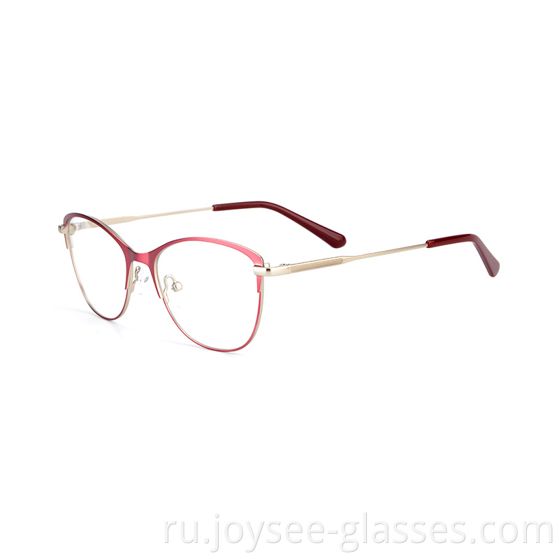 Two Tones Metal Eyeglasses 8